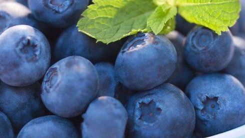 Can we all get into shape? – Part 2: Tweak your diet
