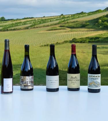 The best chilled reds for summer