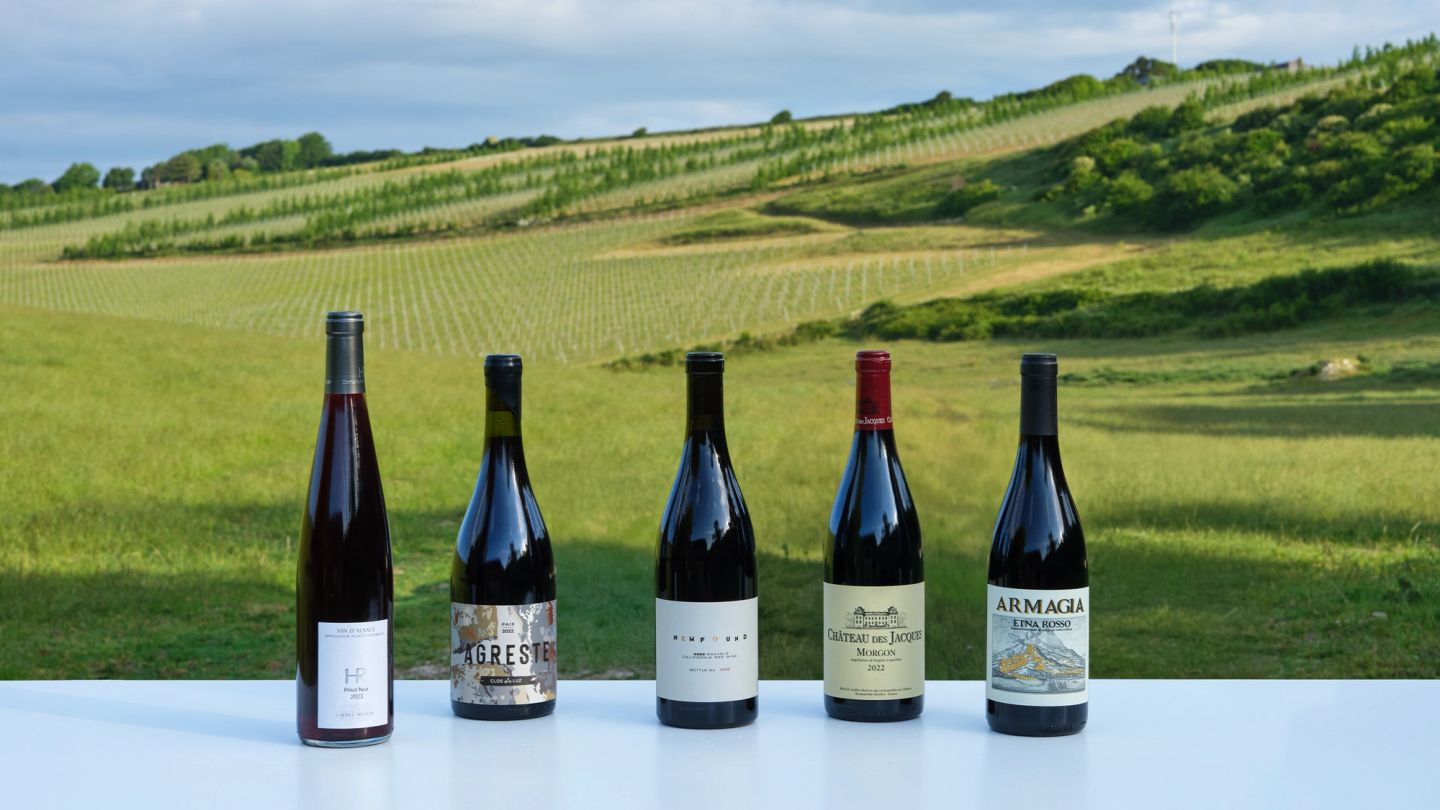 The best chilled reds for summer