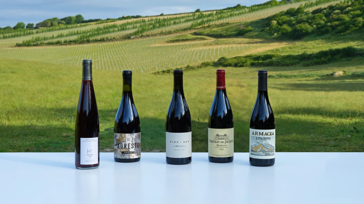 The best chilled reds for summer