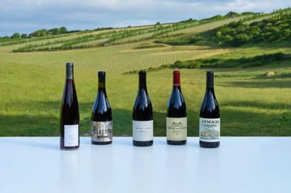The best chilled reds for summer