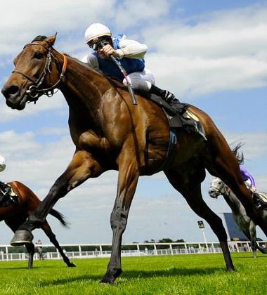 Ten Horses to Watch out for at Royal Ascot