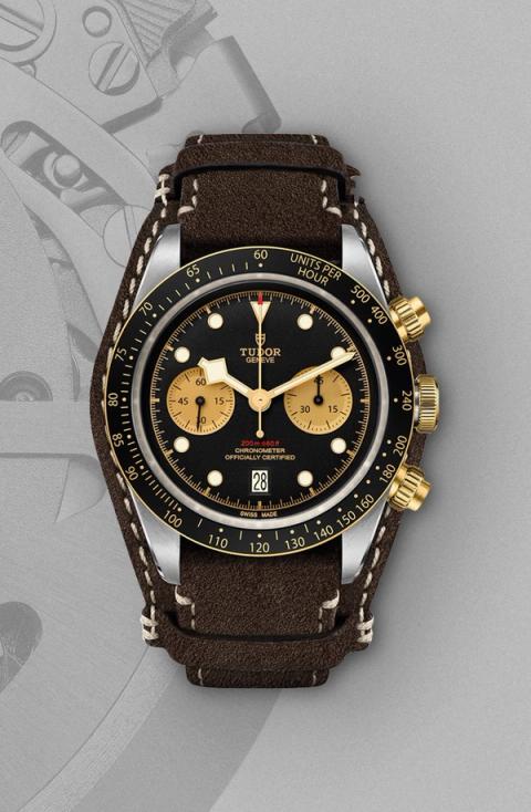 Tudor Black Bay S&G