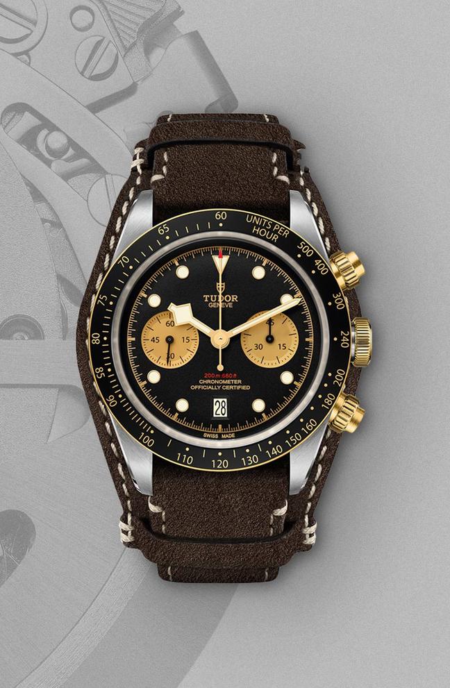 Tudor Black Bay S&G