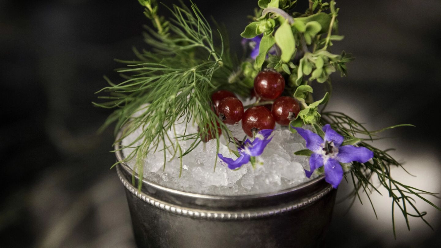 Cocktail of the Week: A Walk in the Woods