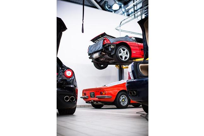 ferraridino