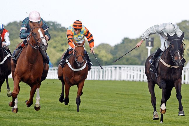 Royal Ascot-gentleman's journal