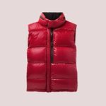 Alrance Quilted Shell Hooded Down Gilet by Moncler