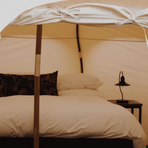 Camp Hox, Oxfordshire
