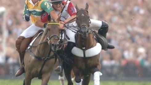 The Royal Salute Coronation Cup