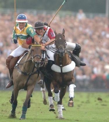 The Royal Salute Coronation Cup