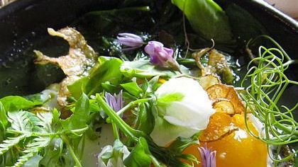 Five Places to Dine Before you Die