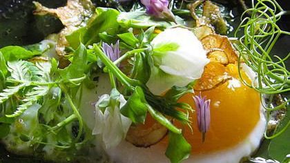 Five Places to Dine Before you Die