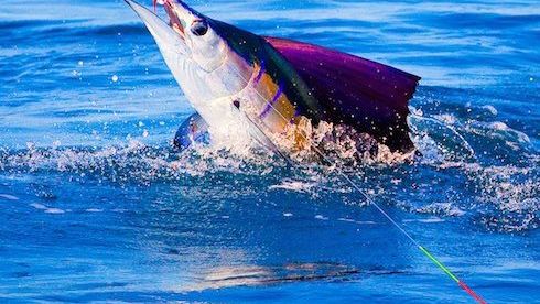 6 of the best fly fishing destinations