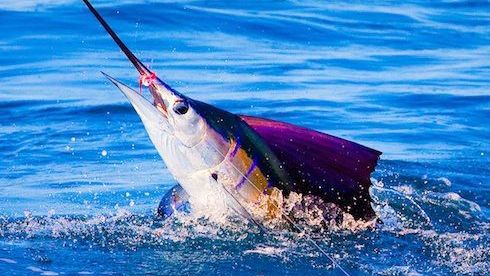 6 of the best fly fishing destinations