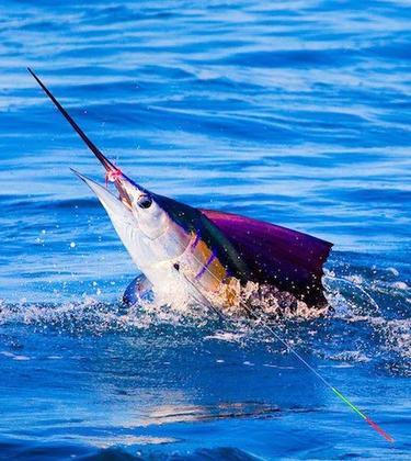 6 of the best fly fishing destinations