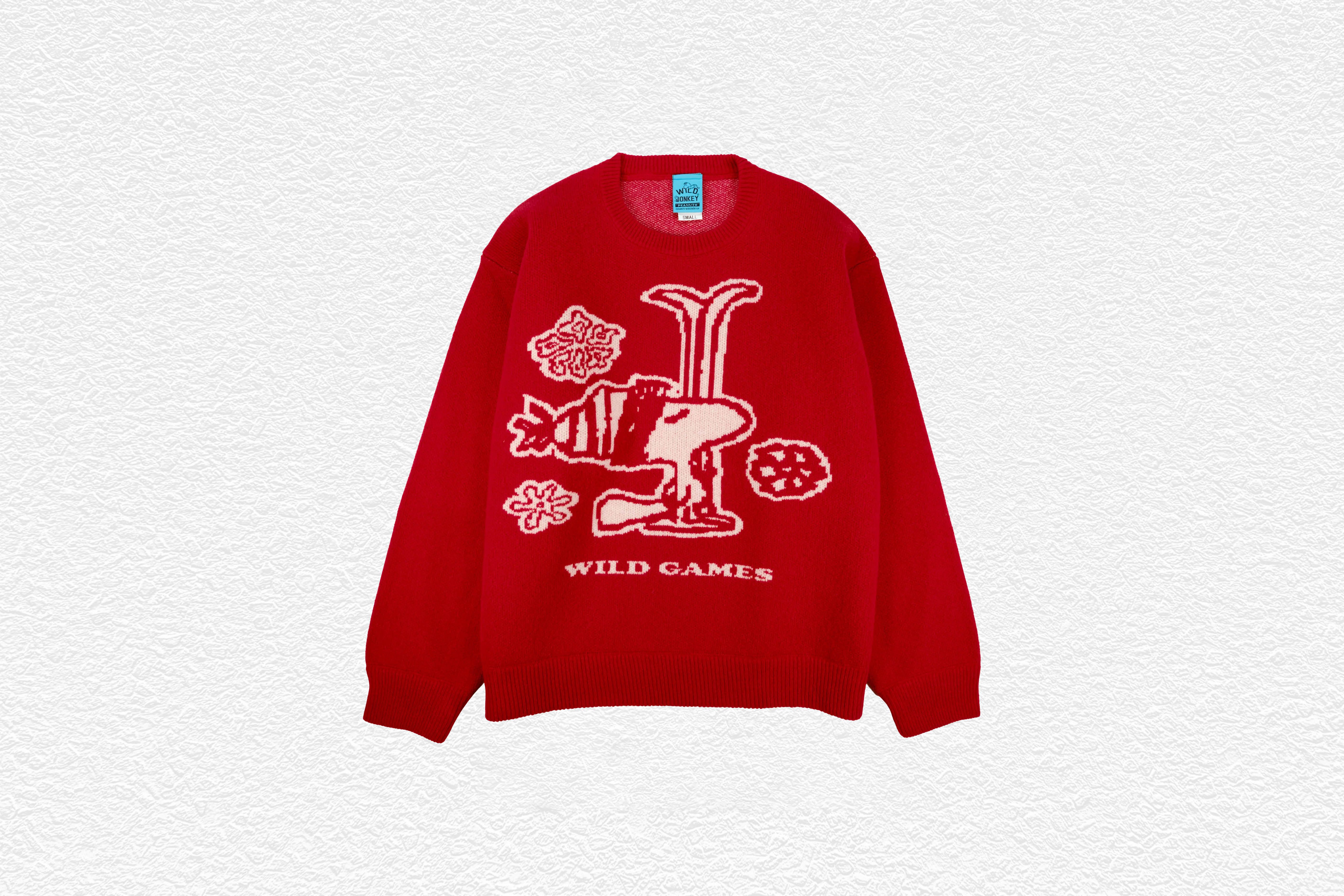 Peanuts SKI 2 Knitwear