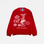 Peanuts SKI 2 Knitwear
