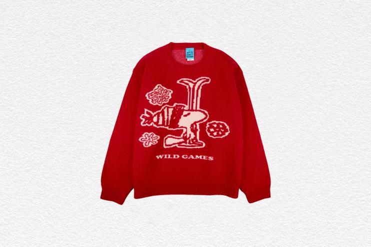 Peanuts SKI 2 Knitwear