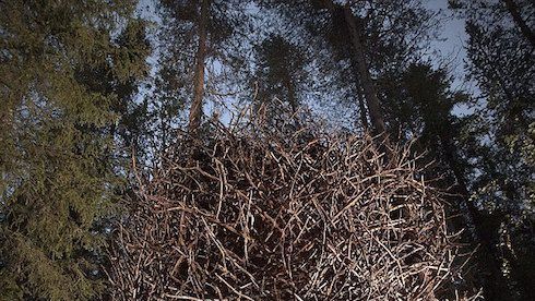 7 treehouses every gentleman needs to escape to