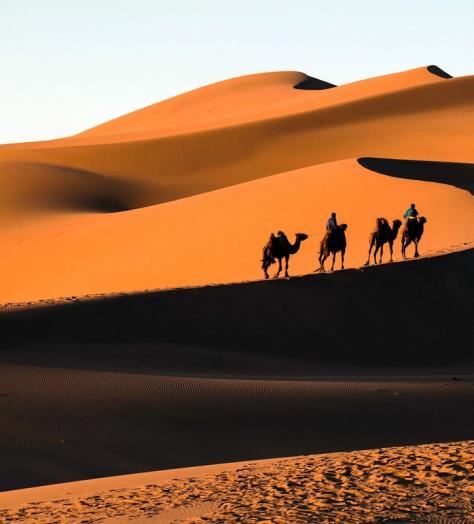 gobi desert