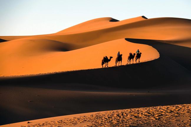 gobi desert