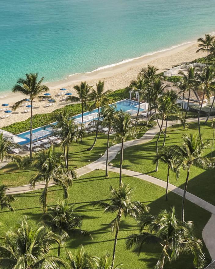 Palm-lined beach at The Ocean Club in the Bahamas