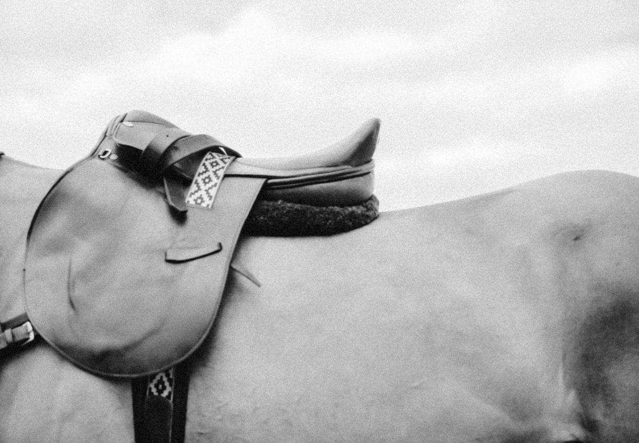 polo-horse-saddle