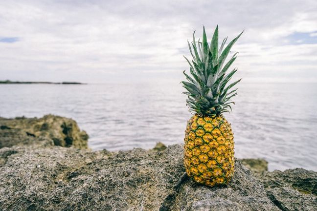 pineapple-thegentlemansjournal