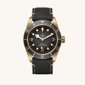 Tudor Black Bay Bronze