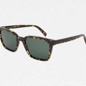 Havana 'Mellor' Sunglasses