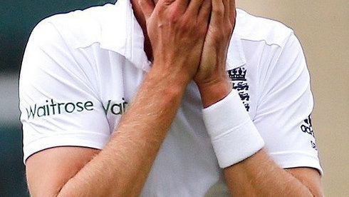 Our Favourite Reactions to “Pomicide”