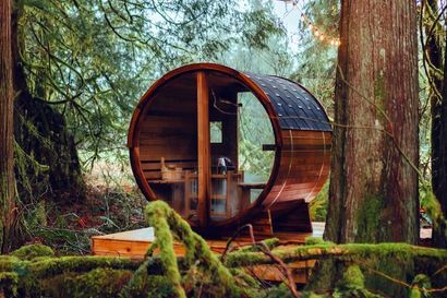 Hot in here: the best saunas for your home