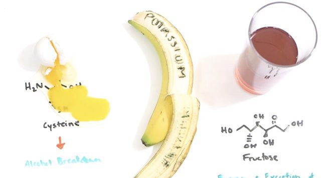 The Scientific Hangover Cure