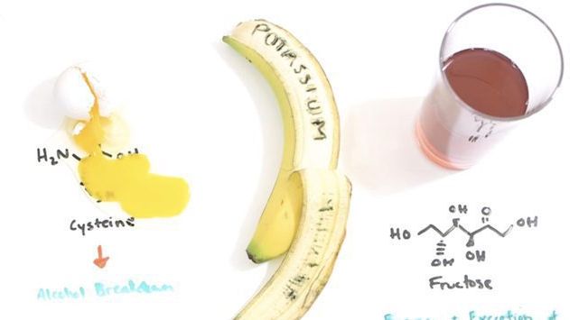 The Scientific Hangover Cure