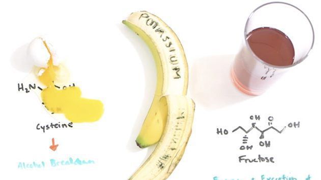 The Scientific Hangover Cure