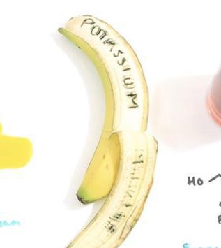 The Scientific Hangover Cure