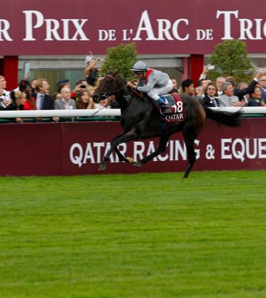 Move over Royal Ascot; is this the most prestigious racing event in the world?