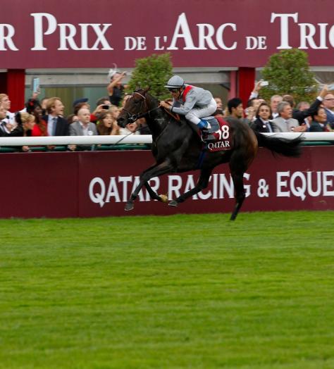 Move over Royal Ascot; is this the most prestigious racing event in the world?