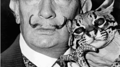 GROOMING – Movember Rules