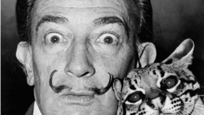 GROOMING – Movember Rules