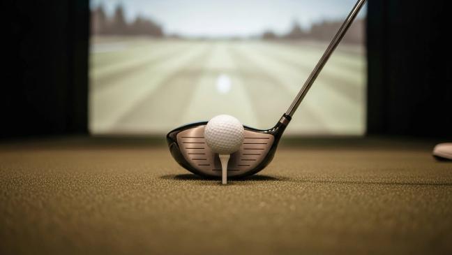 Transfer To Real Grass