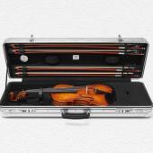 Rimowa x Gewa Violin Case