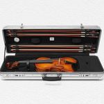 Rimowa x Gewa Violin Case