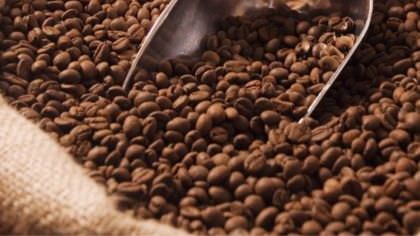 The Most Expensive Coffees In The World