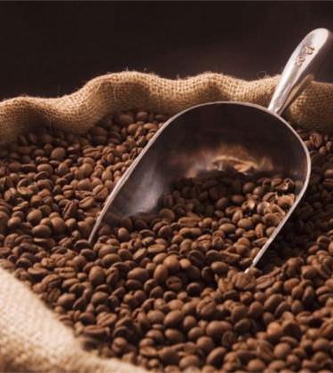 The Most Expensive Coffees In The World