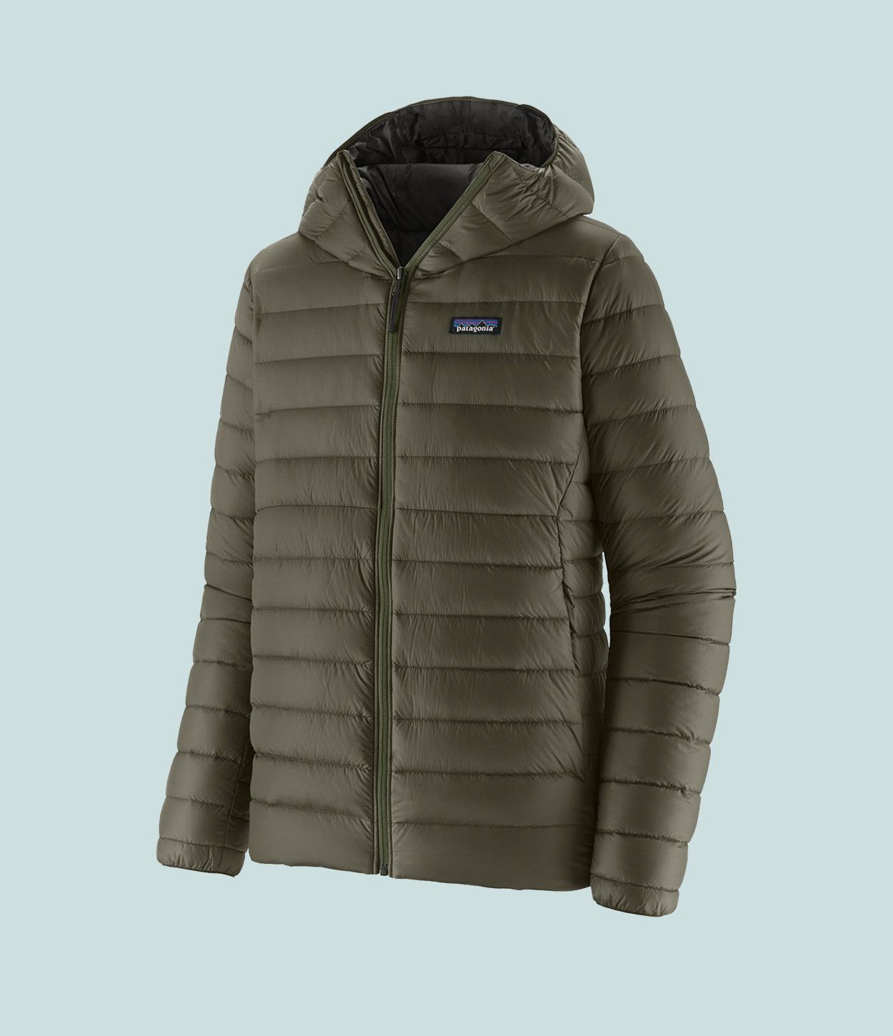 Patagonia sweater hoodie 