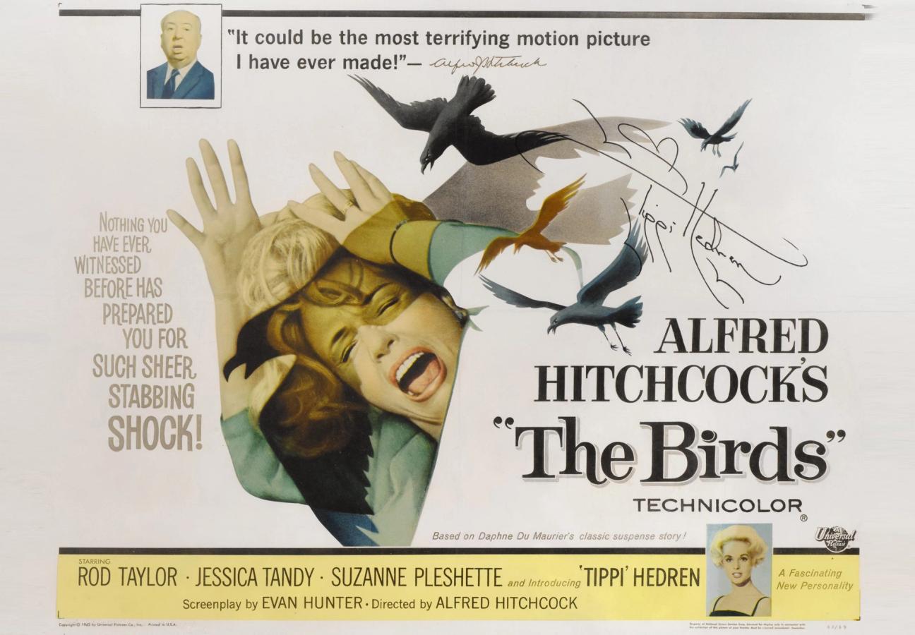 the birds poster