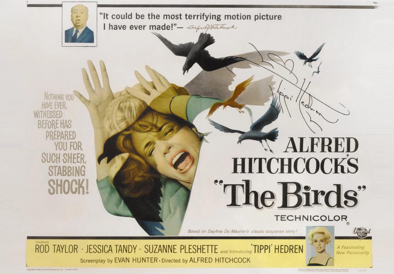 the birds poster