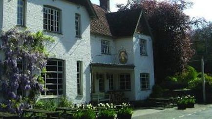 Food – pub lunches